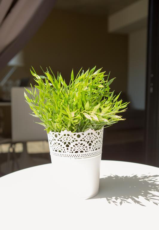 Aveiro Urban Flat Apartment Стая снимка